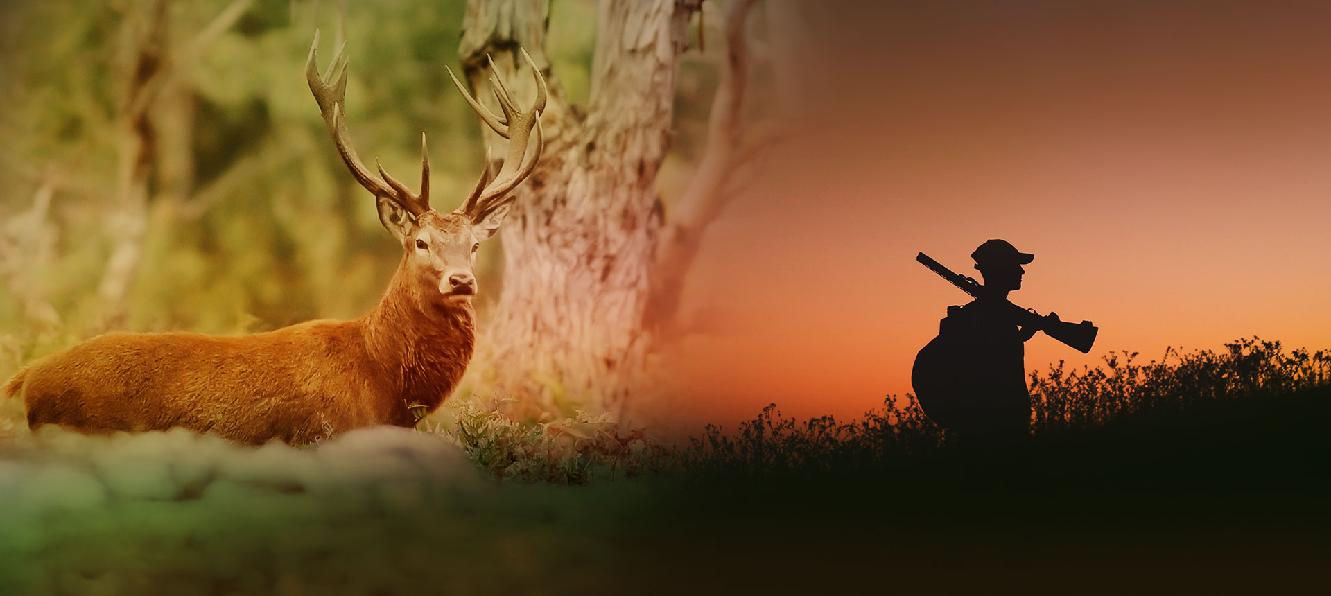 deer home page
